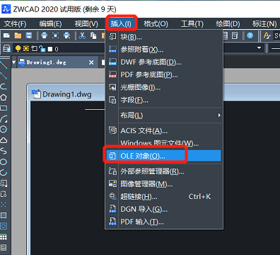 CAD里插入的圖片不見(jiàn)了？